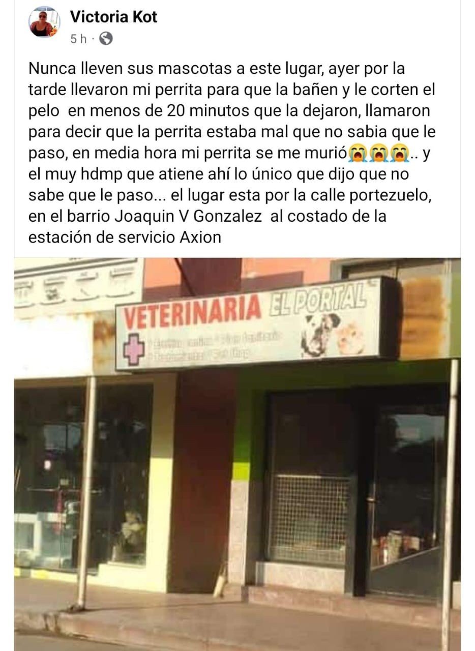 GRAVE DENUNCIA CONTRA UNA VETERINARIA