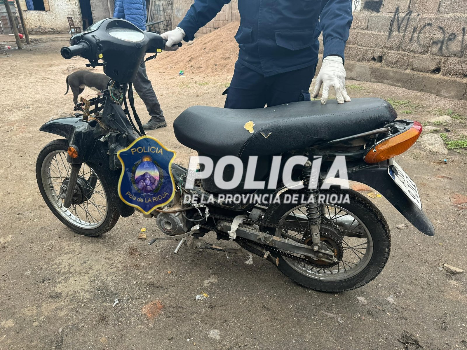 ALLANAMIENTO-SECUESTRO Y DETENCION