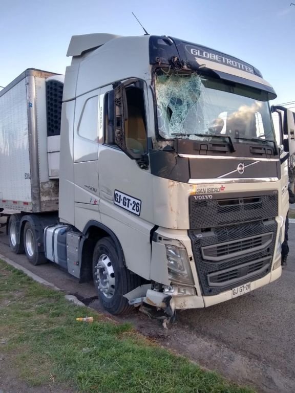 Camionero chileno conducía borracho por calles de Gobernador Costa, derribó 4 árboles y un poste de alumbrado público