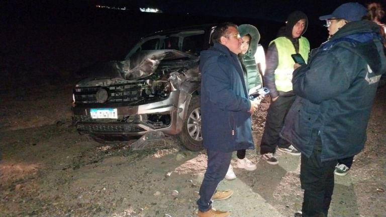 Cinco personas salieron ilesas tras atropellar con su camioneta a un guanaco en Ruta 26