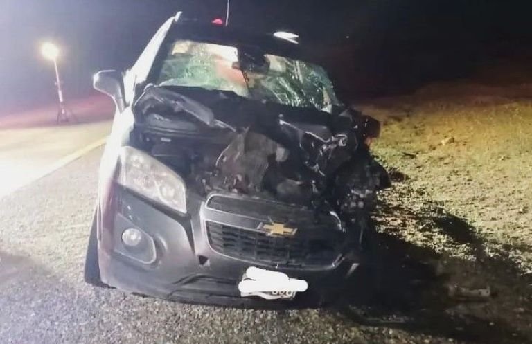 Espectacular accidente provocado por “un guanaco en ruta”