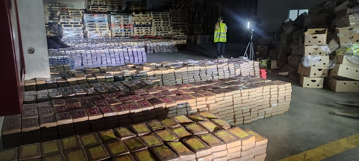 Intervenidas en Algeciras 13 toneladas de cocaína oculta entre plátanos, el mayor alijo aprehendido en España | España