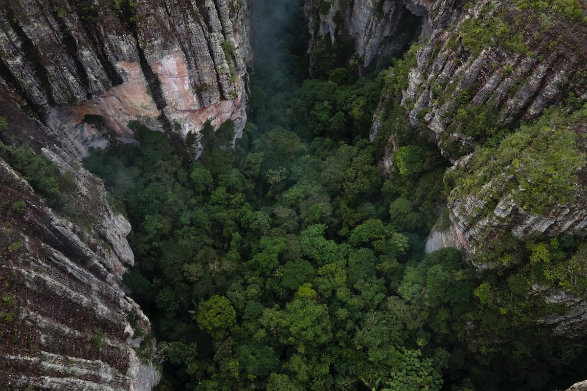 Parques Naturales de Colombia, en alerta por déficit financiero