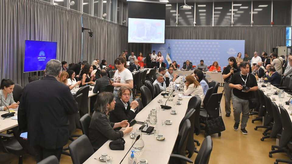 Un proyecto que preocupa al presidente Milei | La oposición en Diputados busca limitar el uso de los DNU