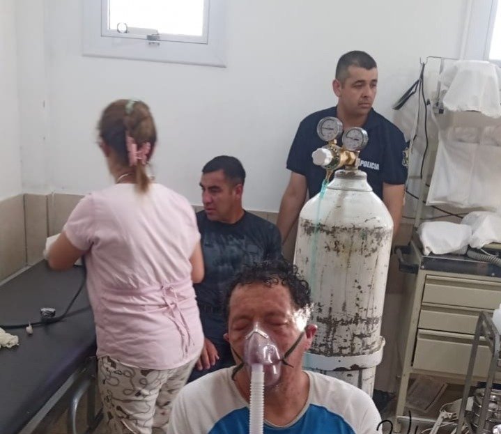 Olta: enjambre de abejas atacó a dos hombres y los dejó en estado critico
