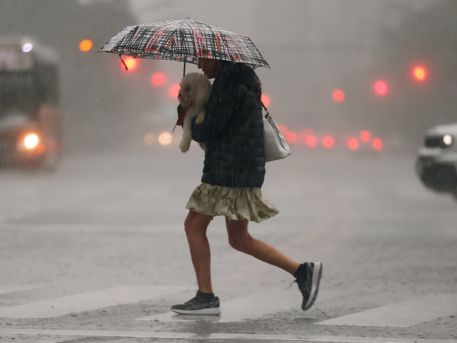 cuándo llueve en Buenos Aires y las alertas por tormentas en 12 provincias para este 14 de octubre