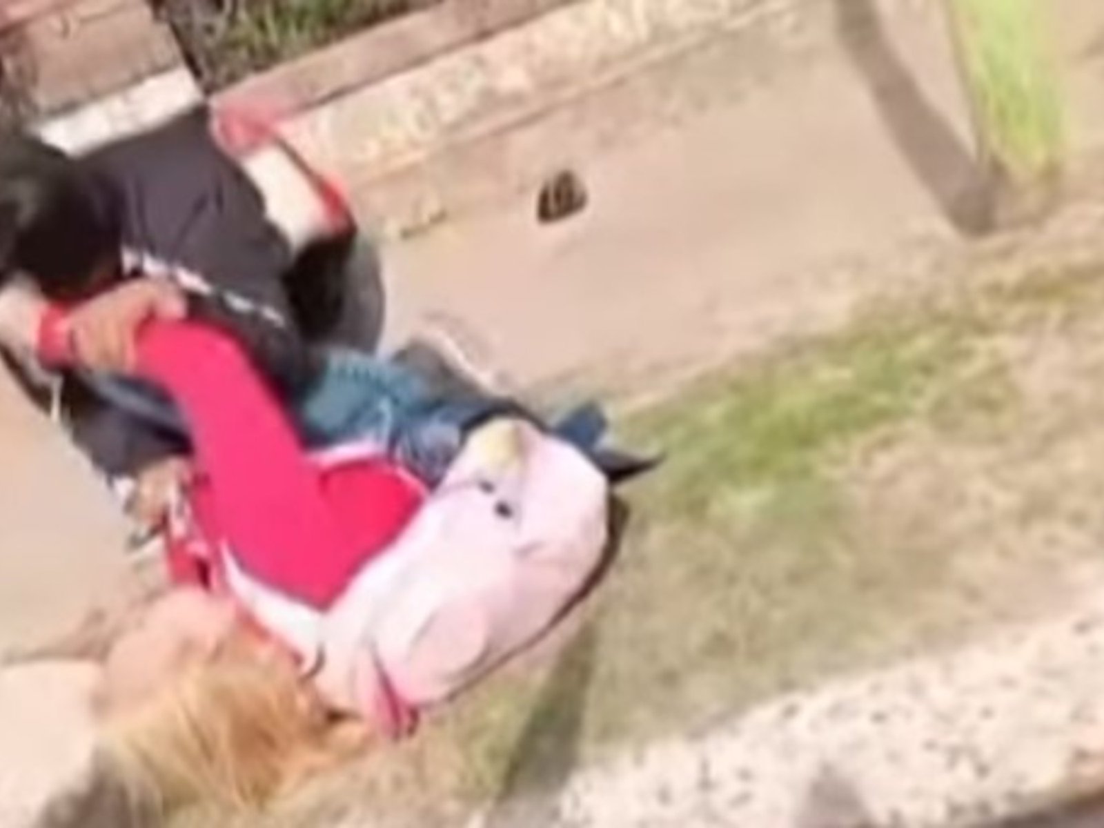 una madre agredió a una maestra de jardín en Los Polvorines