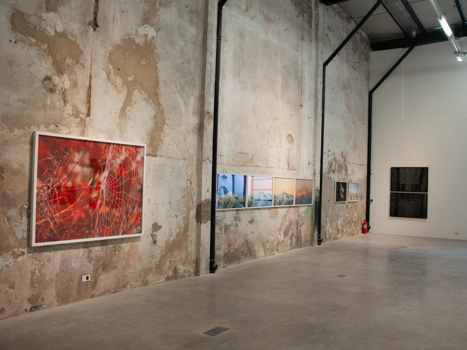 Constanza Oxenford exhibe en La Boca sus fotografías sobre distintas formas de abordar el paso del tiempo