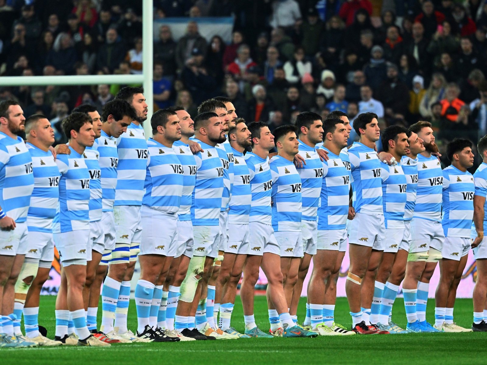 Eliminatorias Sudamericanas, tenis, Los Pumas y boxeo