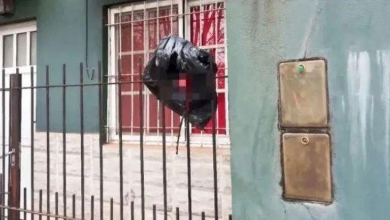 Entre Ríos: intentó saltar la reja, se quedó enganchado y perdió un testículo