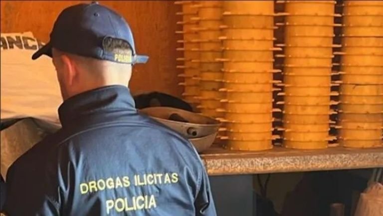Impactantes detalles de la banda narco que escondía más de media tonelada de marihuana dentro de un predio rural