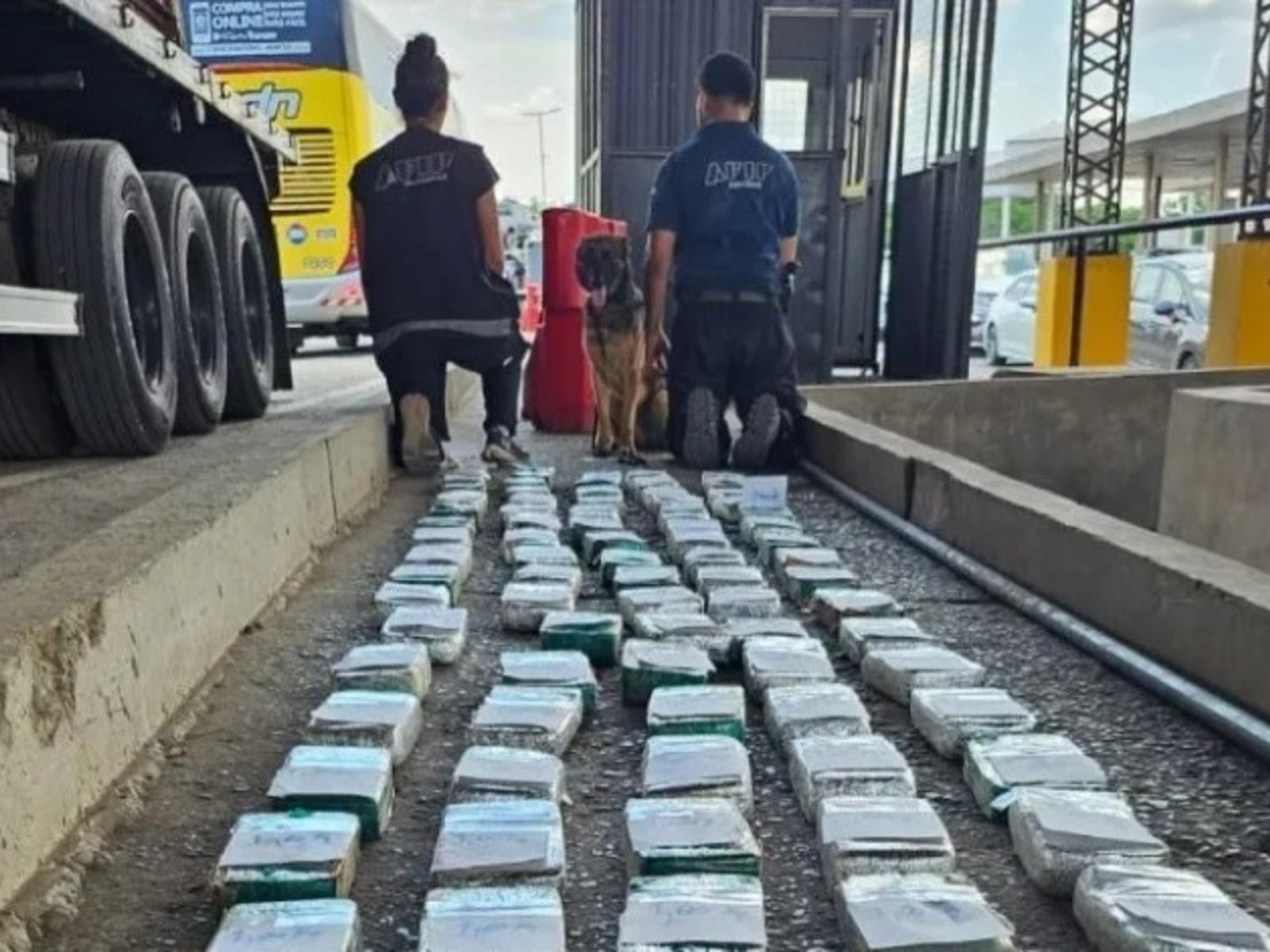 Interceptaron un camión que transportaba un cargamento de cocaína valuado en más de un millón de dólares