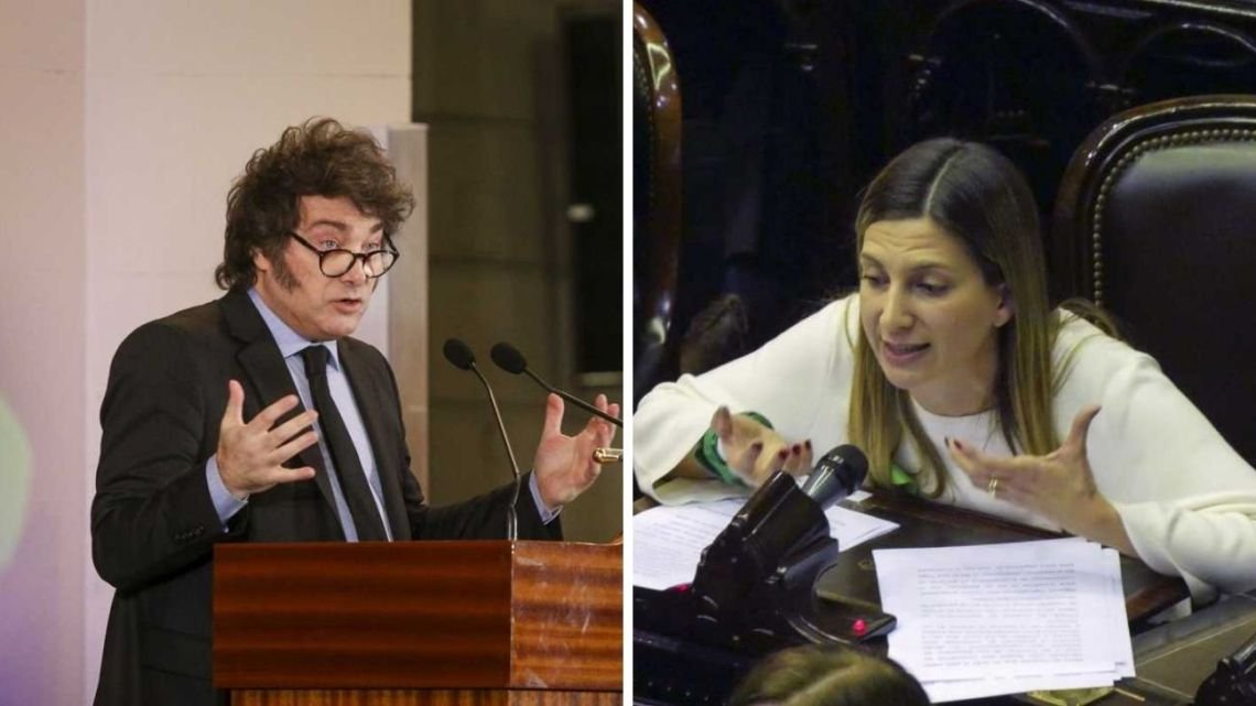 Milei chateó con Silvia Lospennato y se comprometió a impulsar un proyecto de ficha “más limpia”