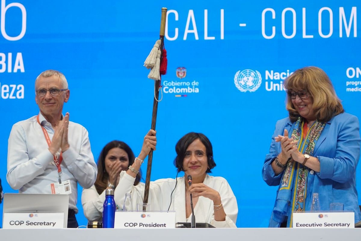 Qué supone la suspensión de la cumbre de biodiversidad de Cali: lo que se logró y lo que queda pendiente | Clima y Medio Ambiente