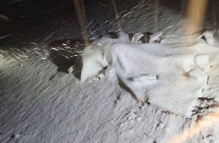 Tragedia en Cusco: turista argentina muere tras ser alcanzada por un rayo