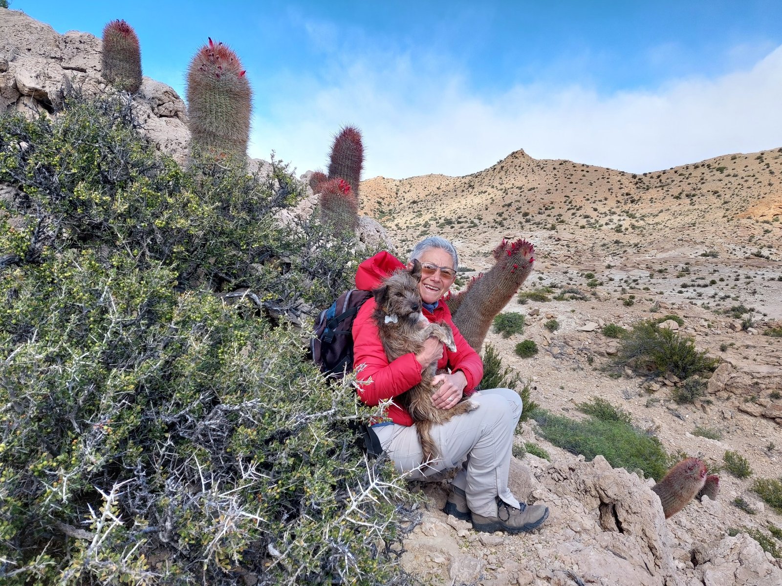 Tres mujeres que buscan los colores escondidos de la Patagonia