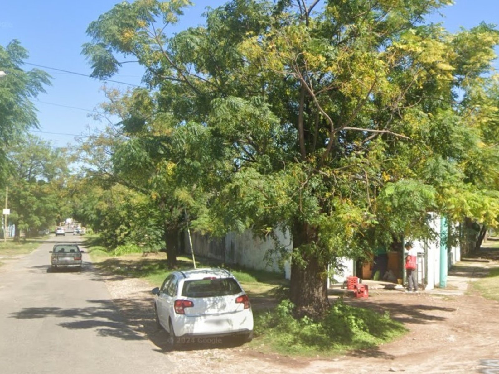Un hombre murió en Rosario después de recibir 150 picaduras de abejas cuando fue a orinar a un árbol