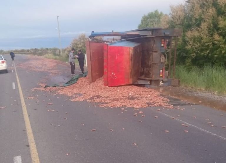 Volcó un camión con desechos de pescado en ruta a Rawson porque su conductor se quedó dormido