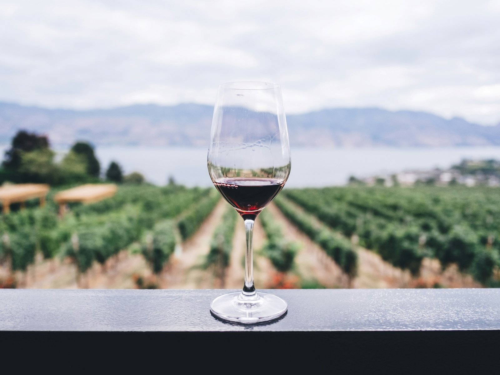 Ya en el siglo XIX, los visitantes extranjeros elogiaban el vino argentino
