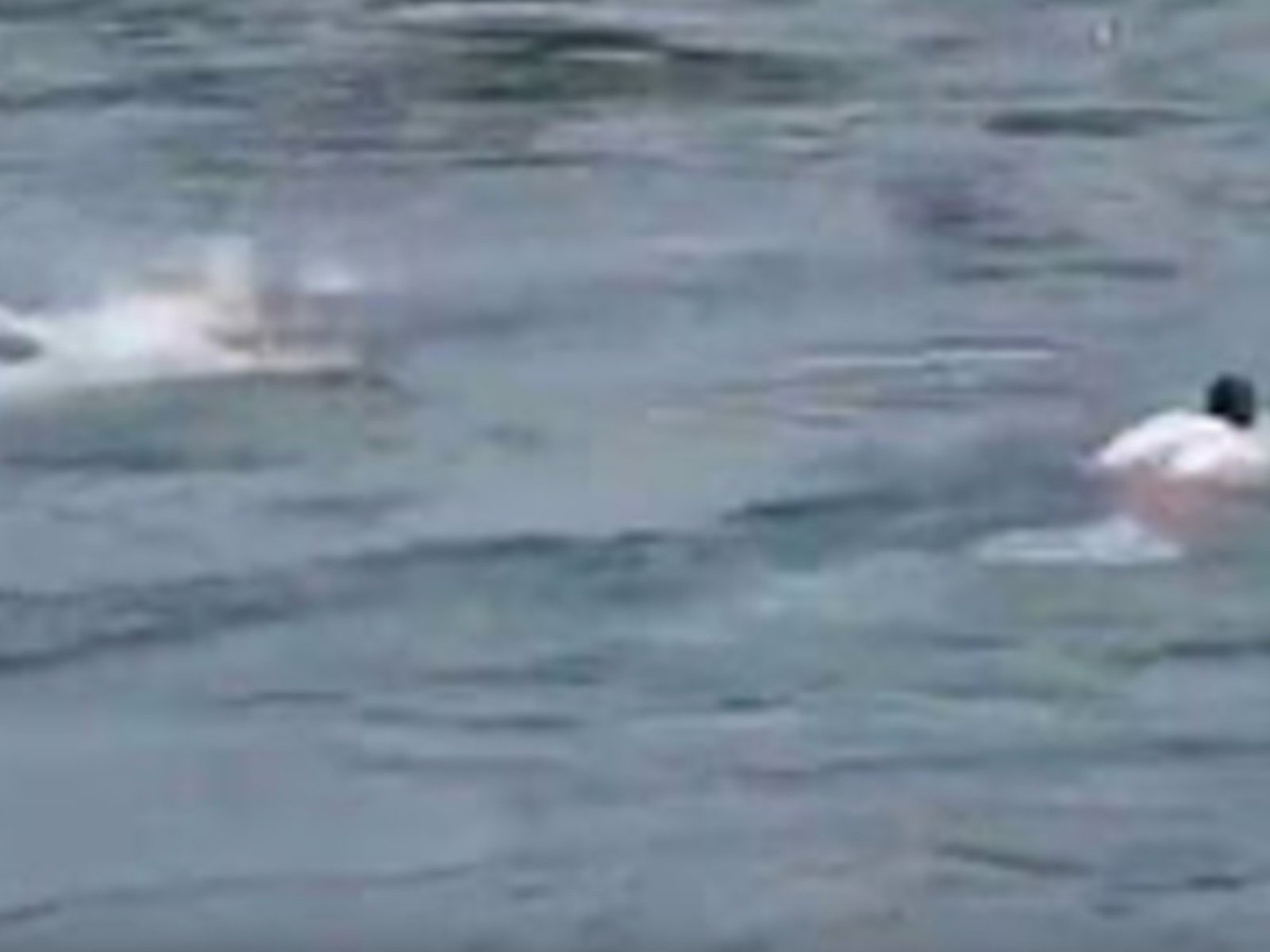 dos guardavidas salvaron a una mujer que había sido arrastrada por la corriente en el río Limay