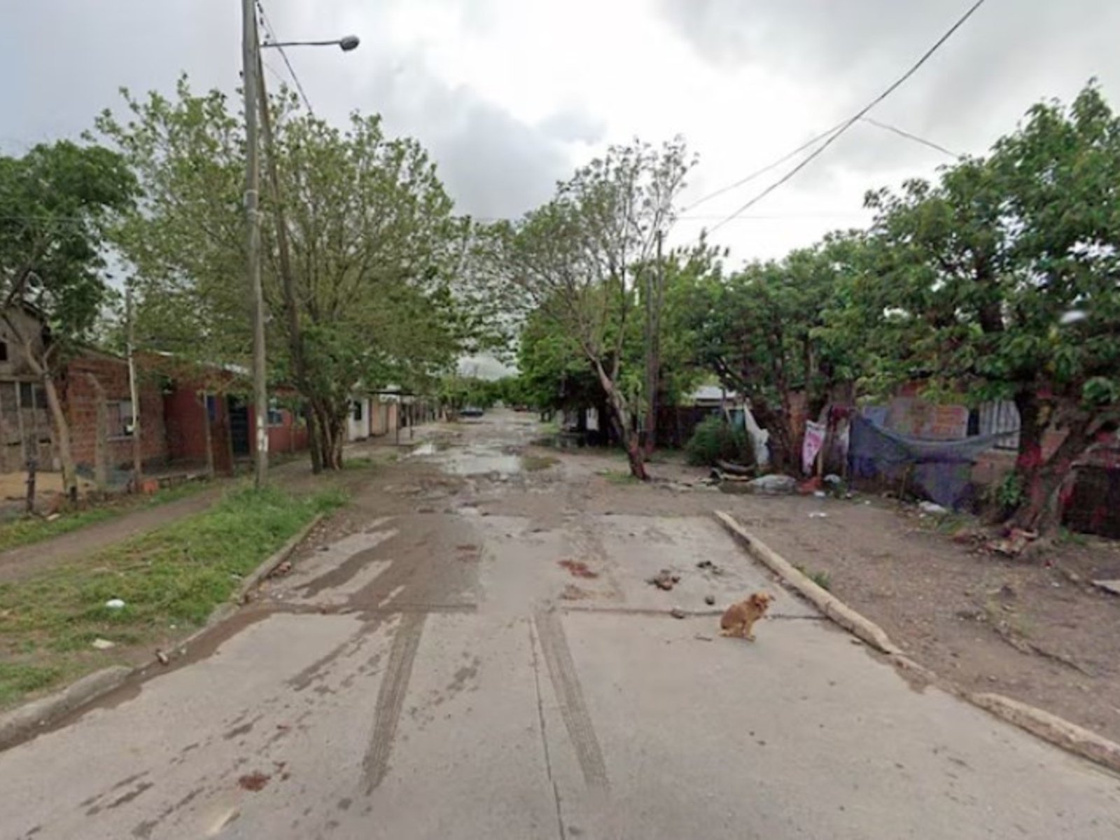 el asesino tiene 16 años