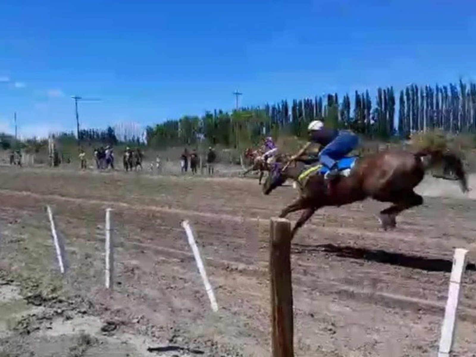 el caballo se desplomó a metros de la llegada, aplastó al jockey y lo mató