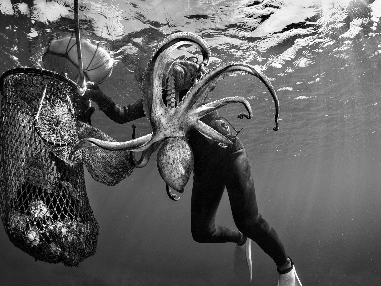 la increíble comunidad de mujeres sirena que se gana la vida en el agua