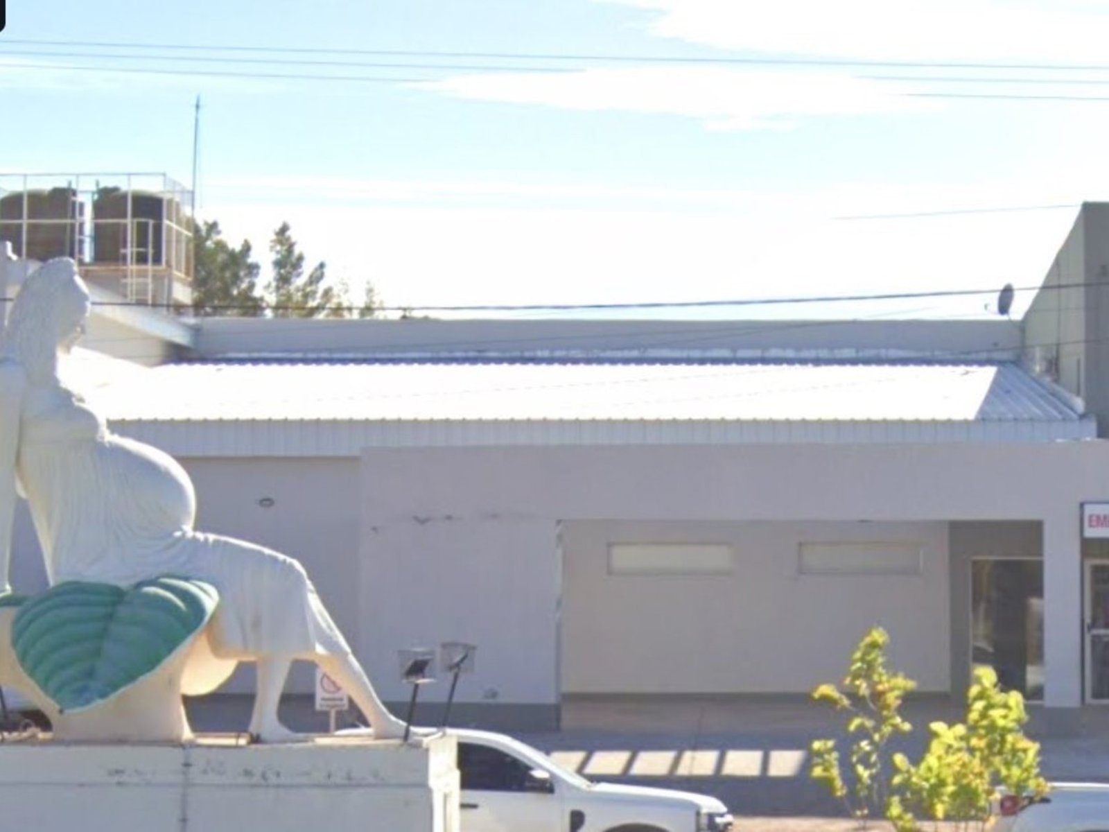 le detectaron signos de abuso sexual