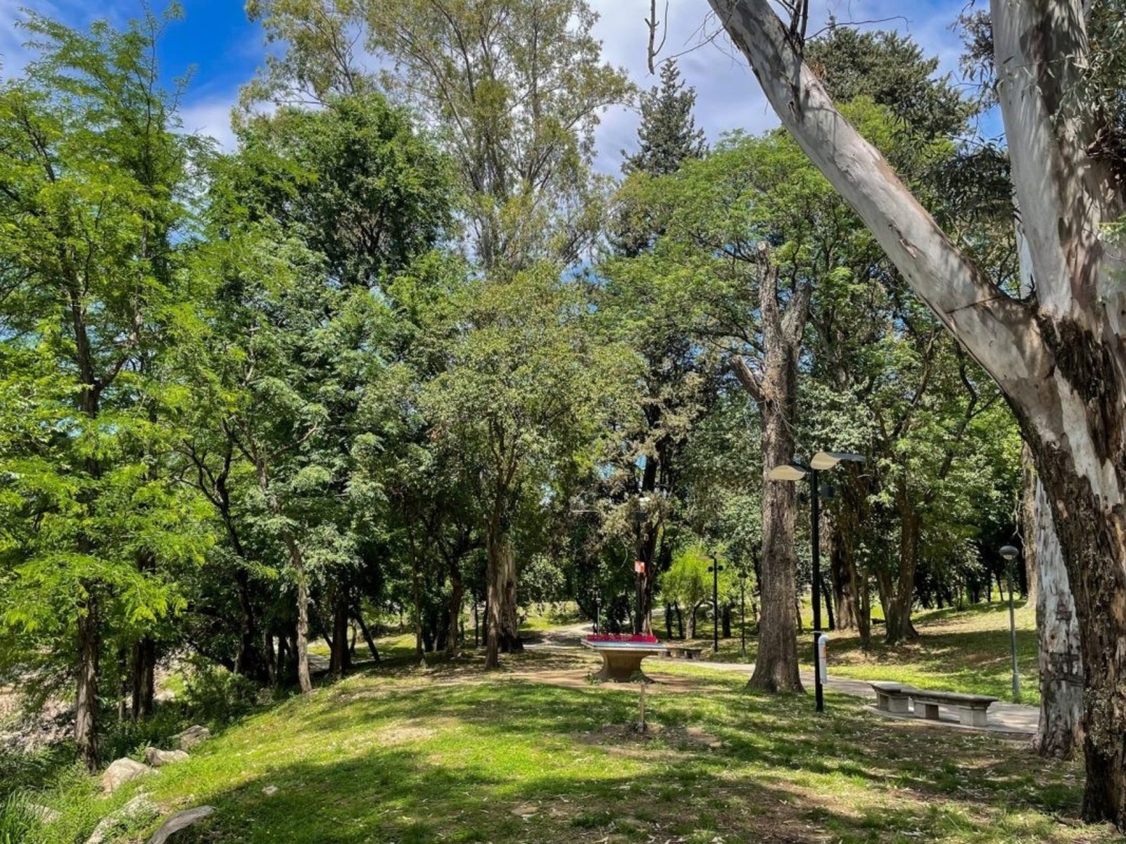 los Bosques de la Poesía argentinos se expanden por el mundo