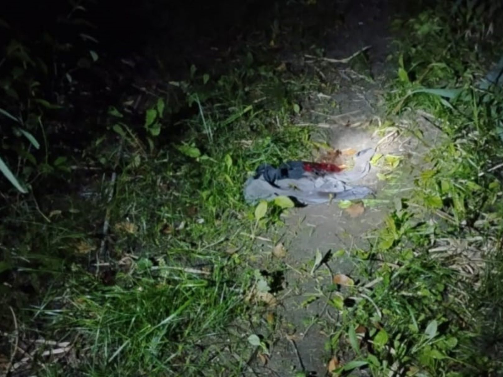 mató a su hija de cinco años a puñaladas tras discutir con su esposa e intentó suicidarse