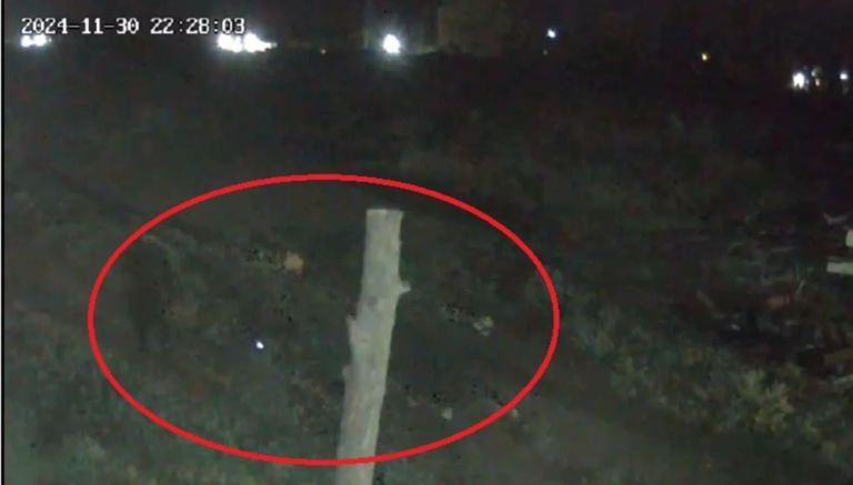 Asaltos y robos en creciente accionar delictivo en la zona de chacras próxima a Trelew