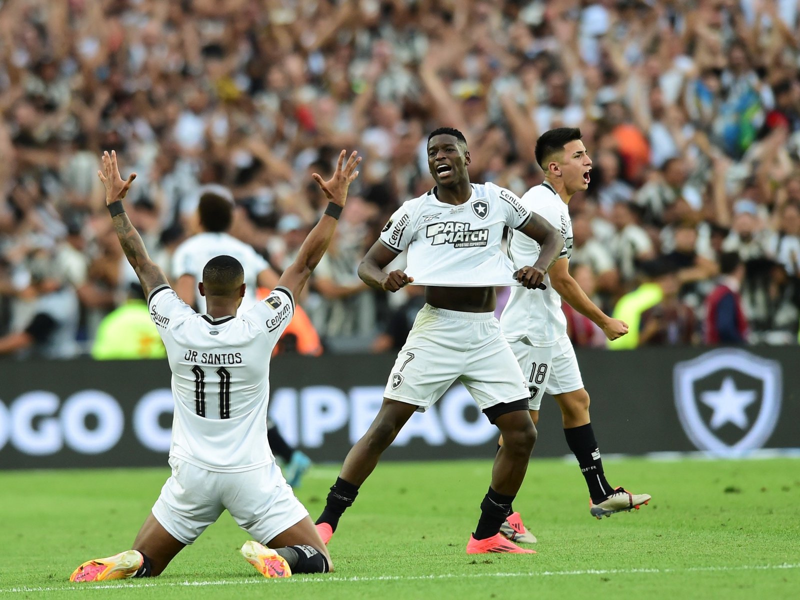 Botafogo es campeón de la Copa Libertadores y es el último clasificado al torneo que jugarán Boca y River