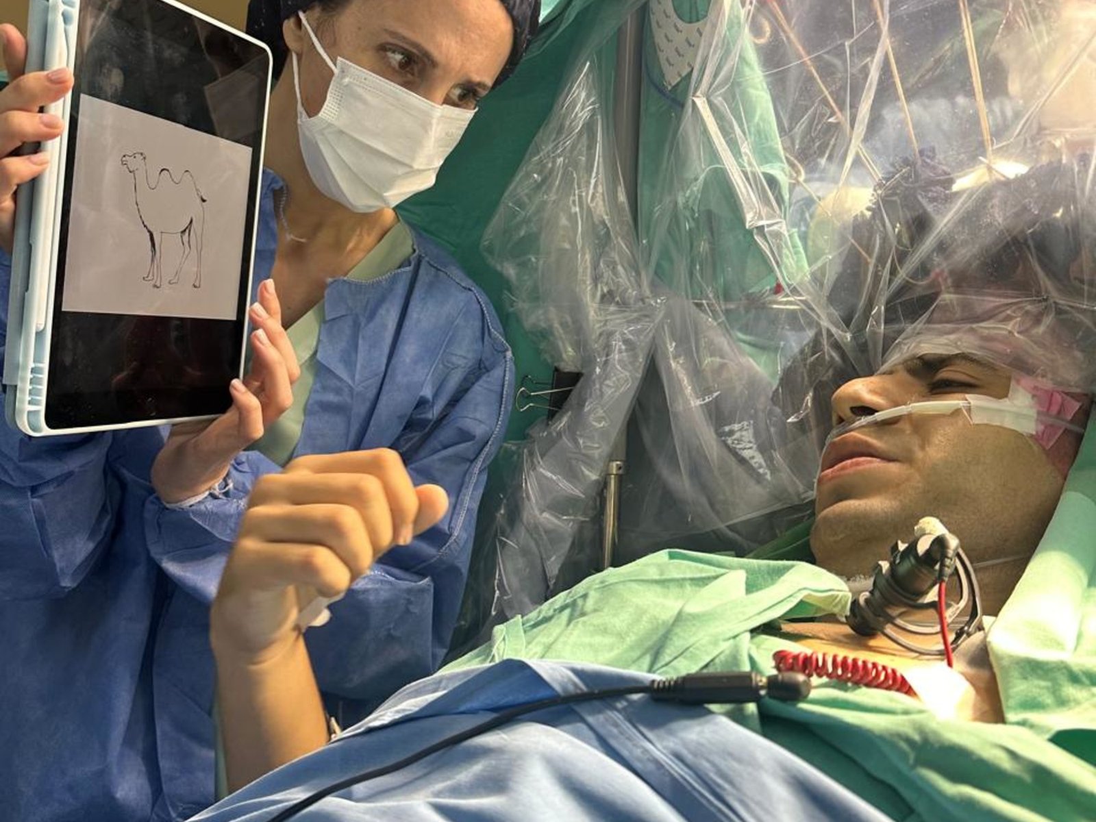 Cómo es el mapeo de emociones en pacientes despiertos mientras les realizan una cirugía cerebral