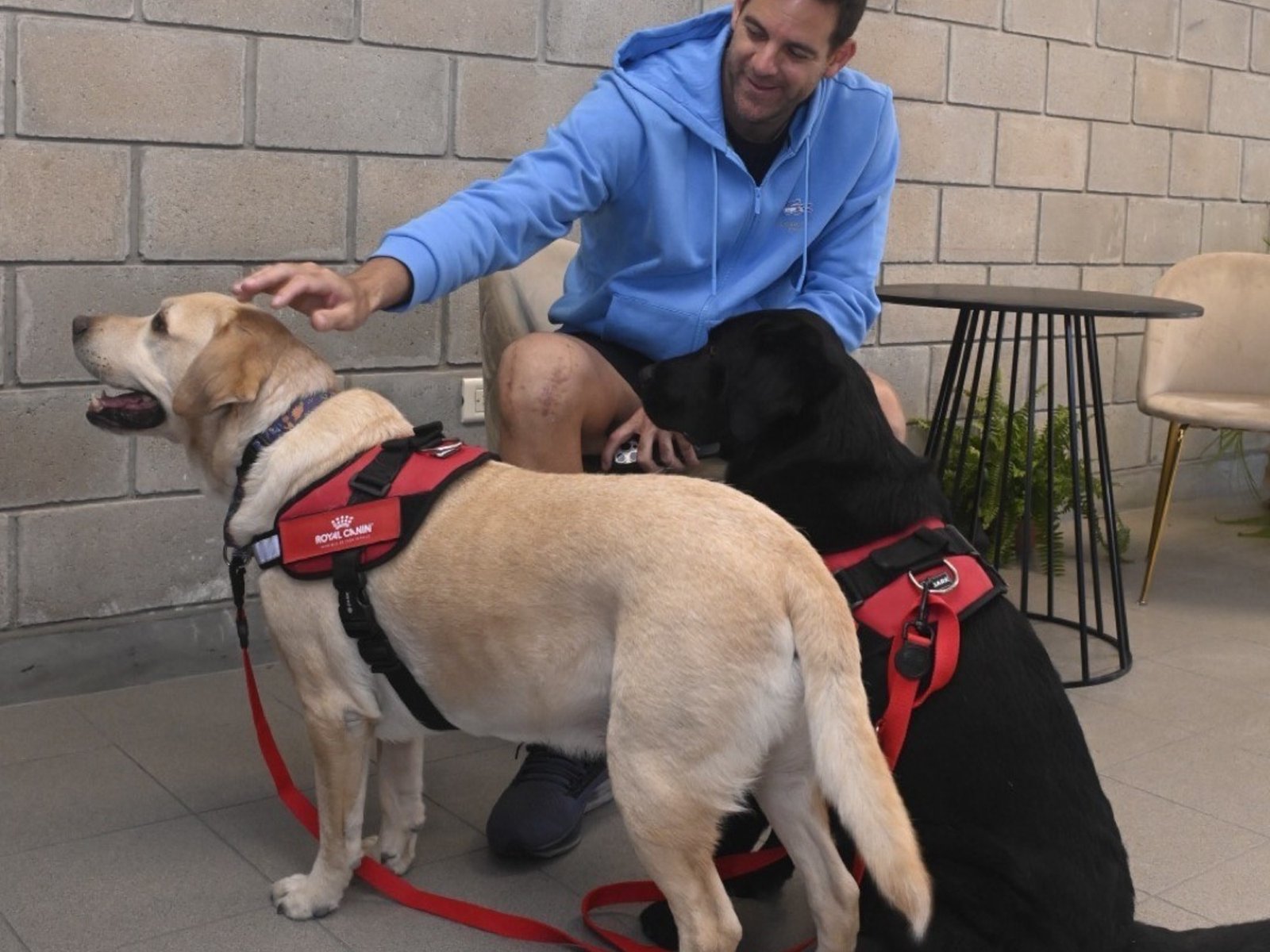 Del Potro y un entrenamiento especial antes de jugar contra Djokovic su último desafío en un Parque Roca colmado de fanáticos y de famosos