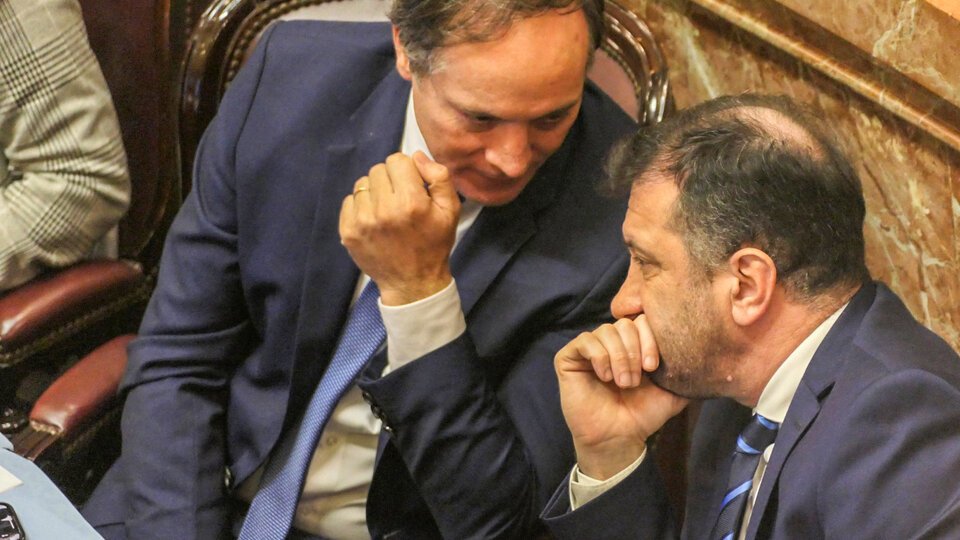El camaleón Camau se pinta de violeta | Apuntan contra el compañero de bloque de Kueider por presunta compra de votos