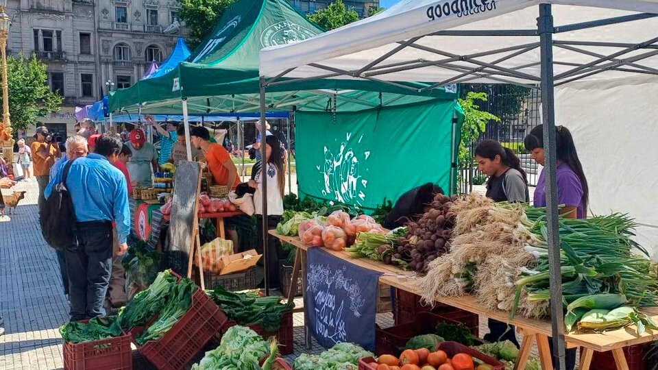 Feriazo: “No hay políticas para la agricultura familiar” | Pequeños productores denuncian en el Congreso