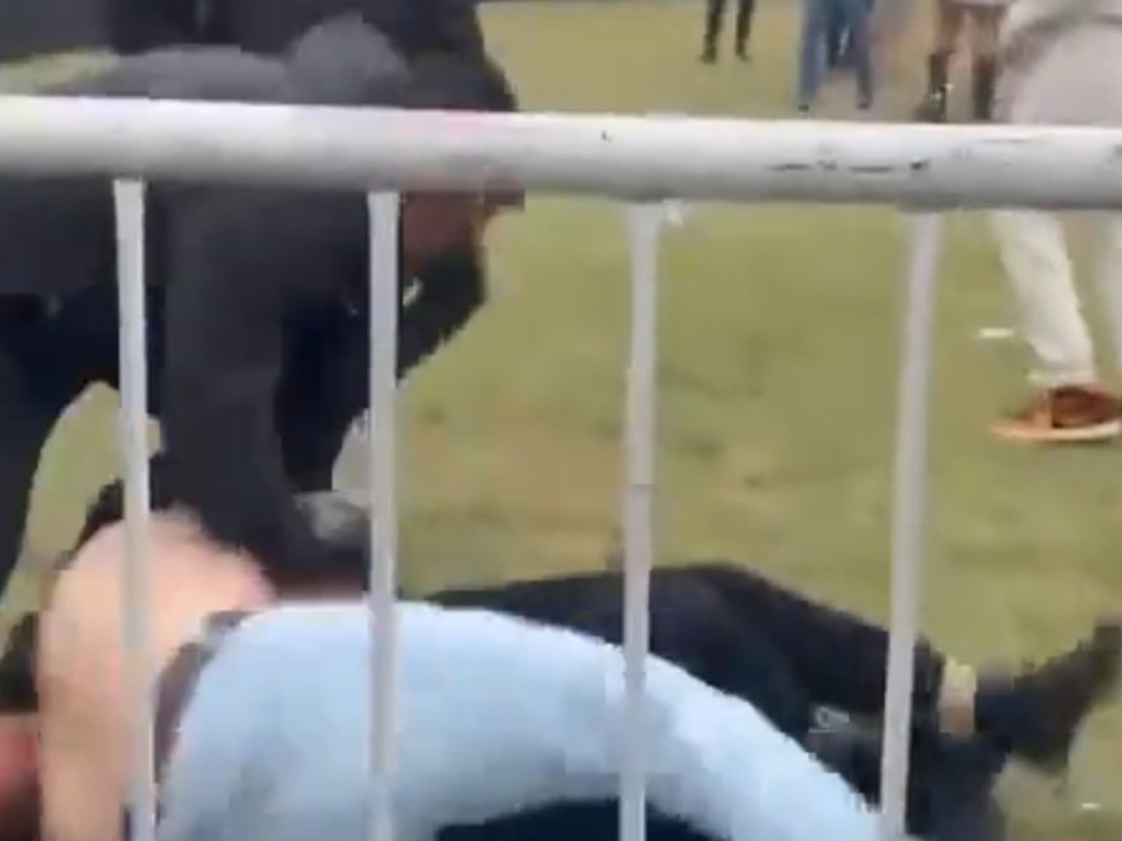 Golpiza en una fiesta de Navidad en un club de rugby: un joven internado