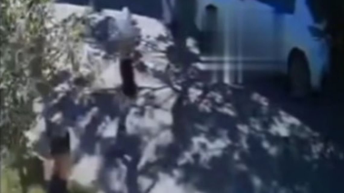 Inseguridad en La Matanza: así lo mordieron y golpearon para robarle el auto