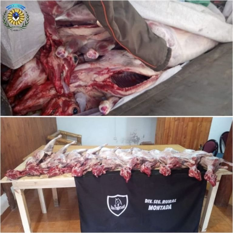 Intervención policial por una carga de corderos faenados