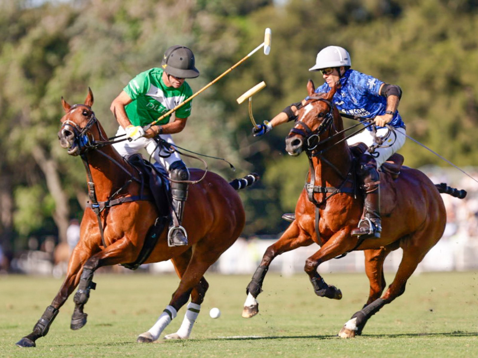 La Dolfina y La Natividad juegan otra final de 80 goles en Palermo, con ganas de revancha y la lluvia como villano involuntario