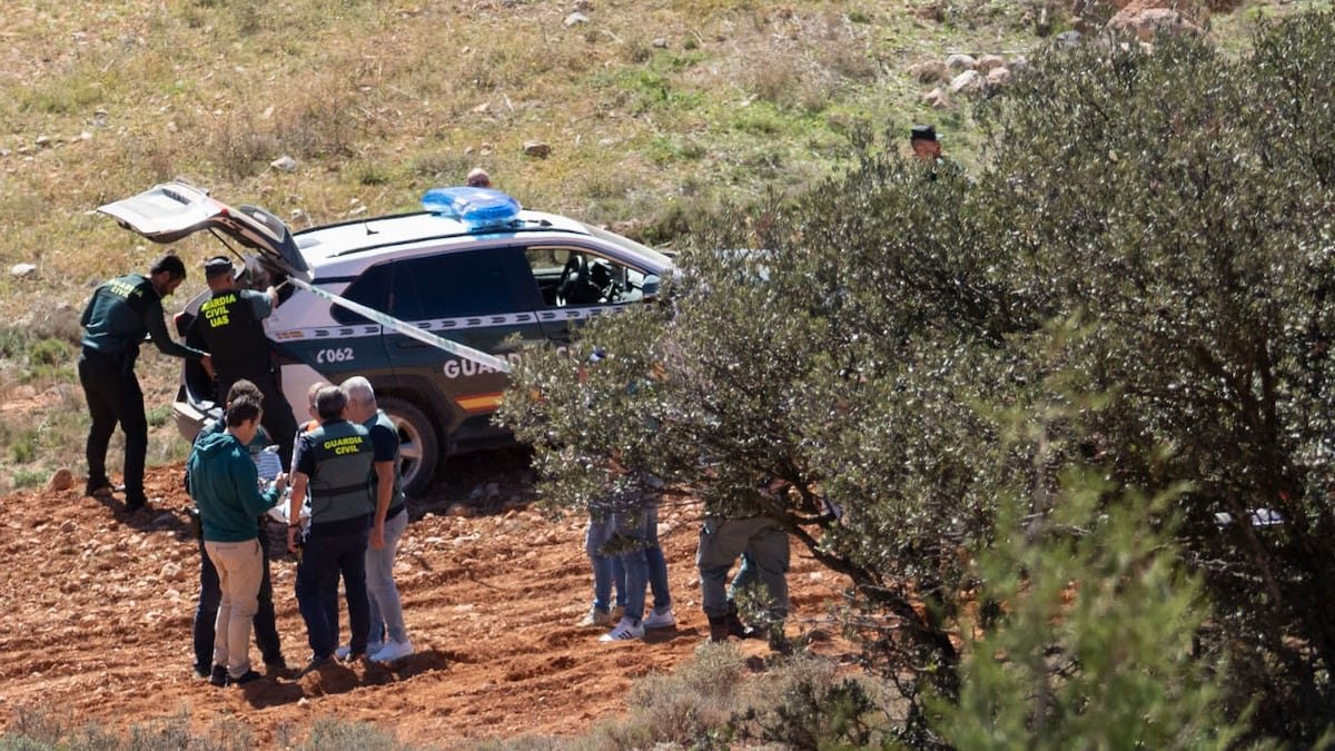 La colisión con un buitre causó el accidente de un caza F-18 en Teruel, según la investigación | España