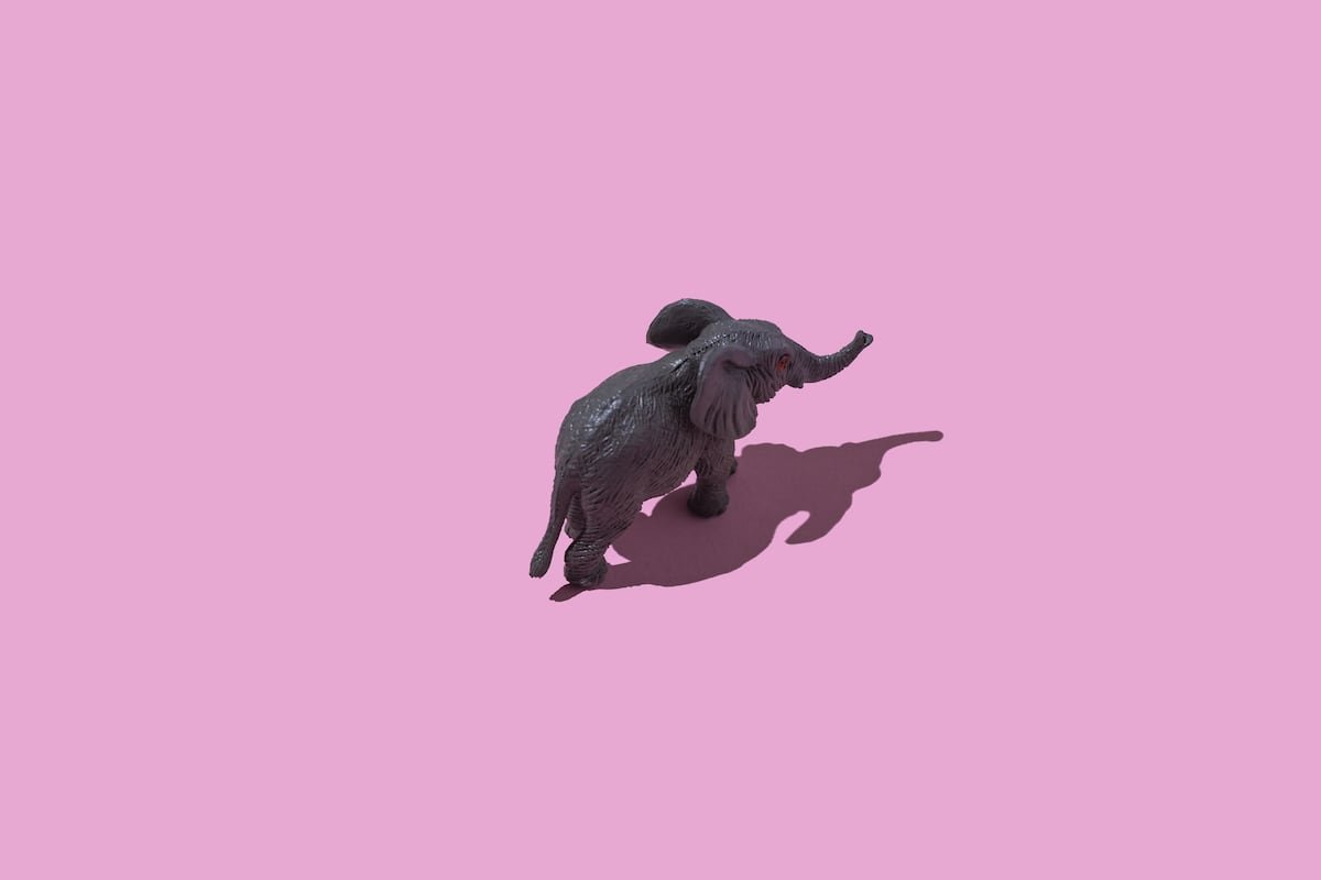 La prueba del elefante rosa: así predice la imaginación visual nuestra capacidad para controlar los pensamientos | Salud y bienestar