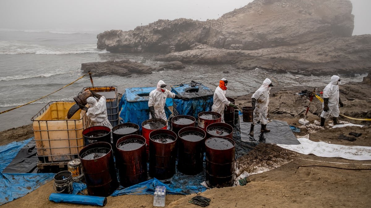 Lobitos: Un derrame de petróleo afecta a las costas del norte de Perú y daña la vida marina de la región