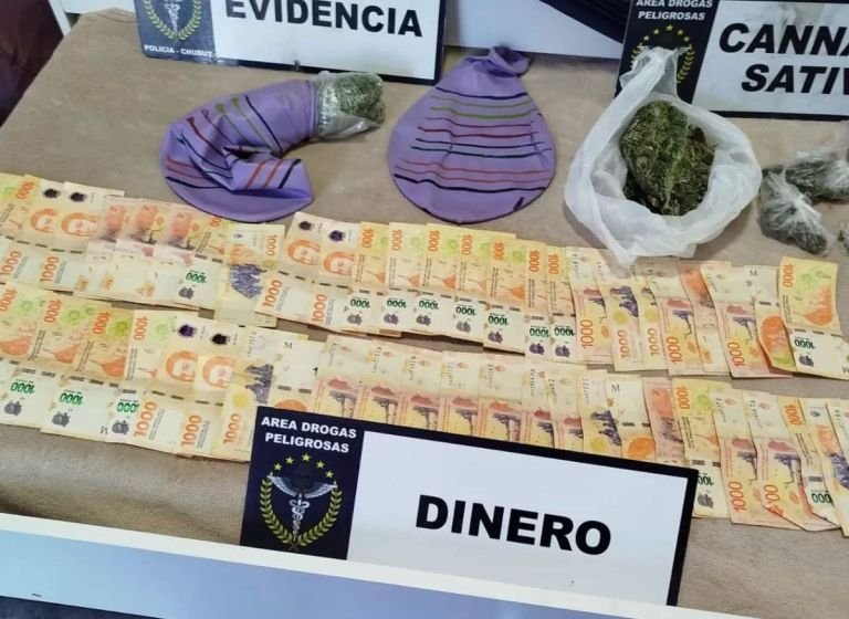 Operativo “Flor de Globo” permitió secuestro de drogas, vehículos y armas