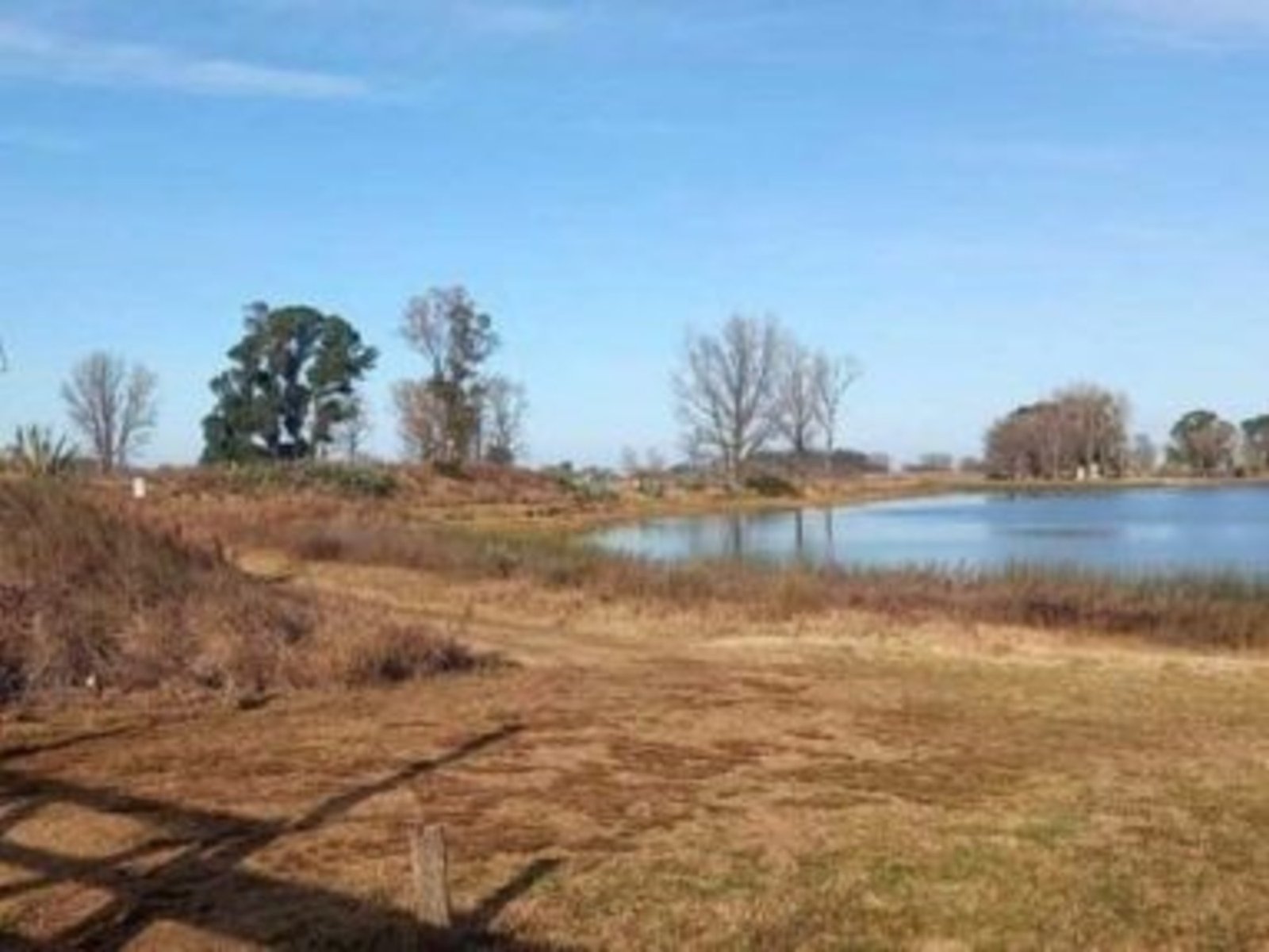 Rescataron del olvido un cementerio mapuche en el noroeste bonaerense