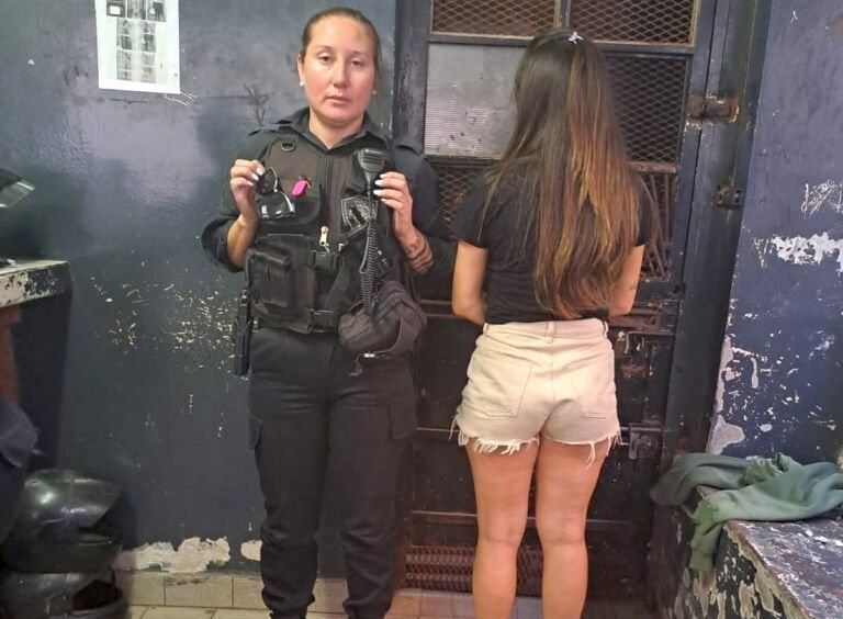 Rosario: Dejó encerrado al perro 7 horas en el auto, el animal murió y la dueña fue detenida