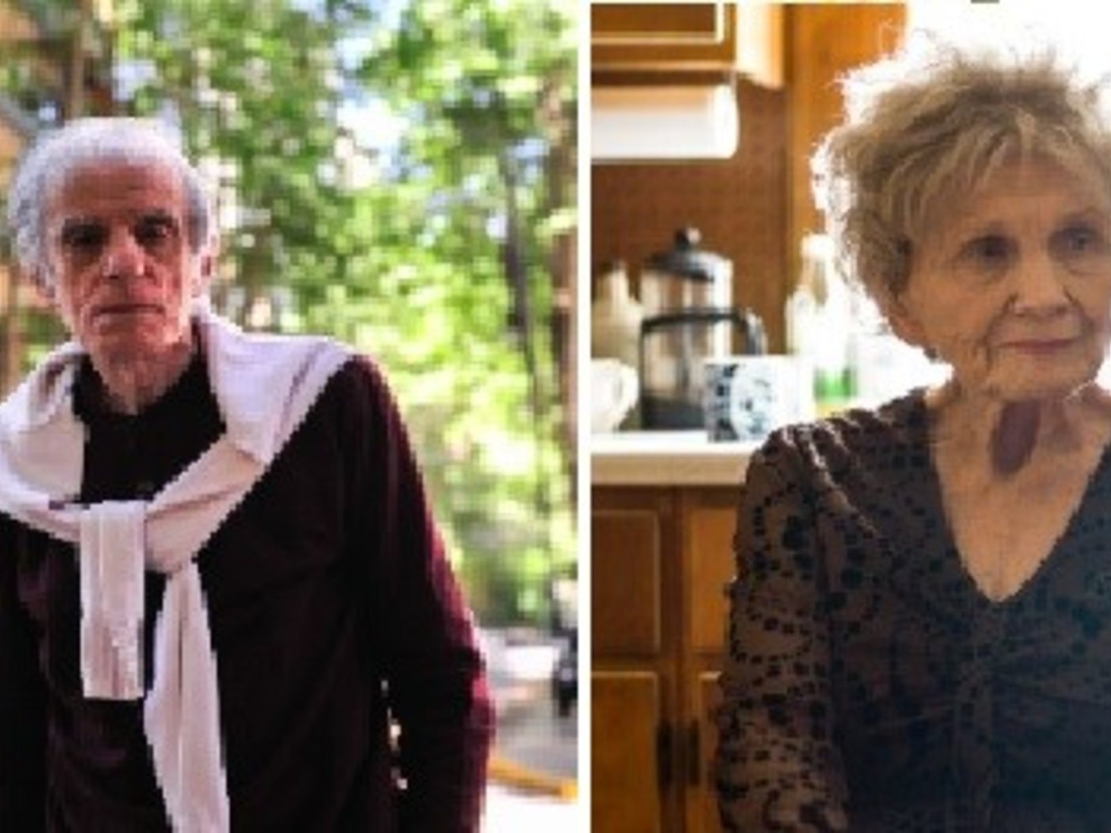 Sarlo, Sebreli, Cozarinsky, Munro, Auster y otros autores que fallecieron en 2024