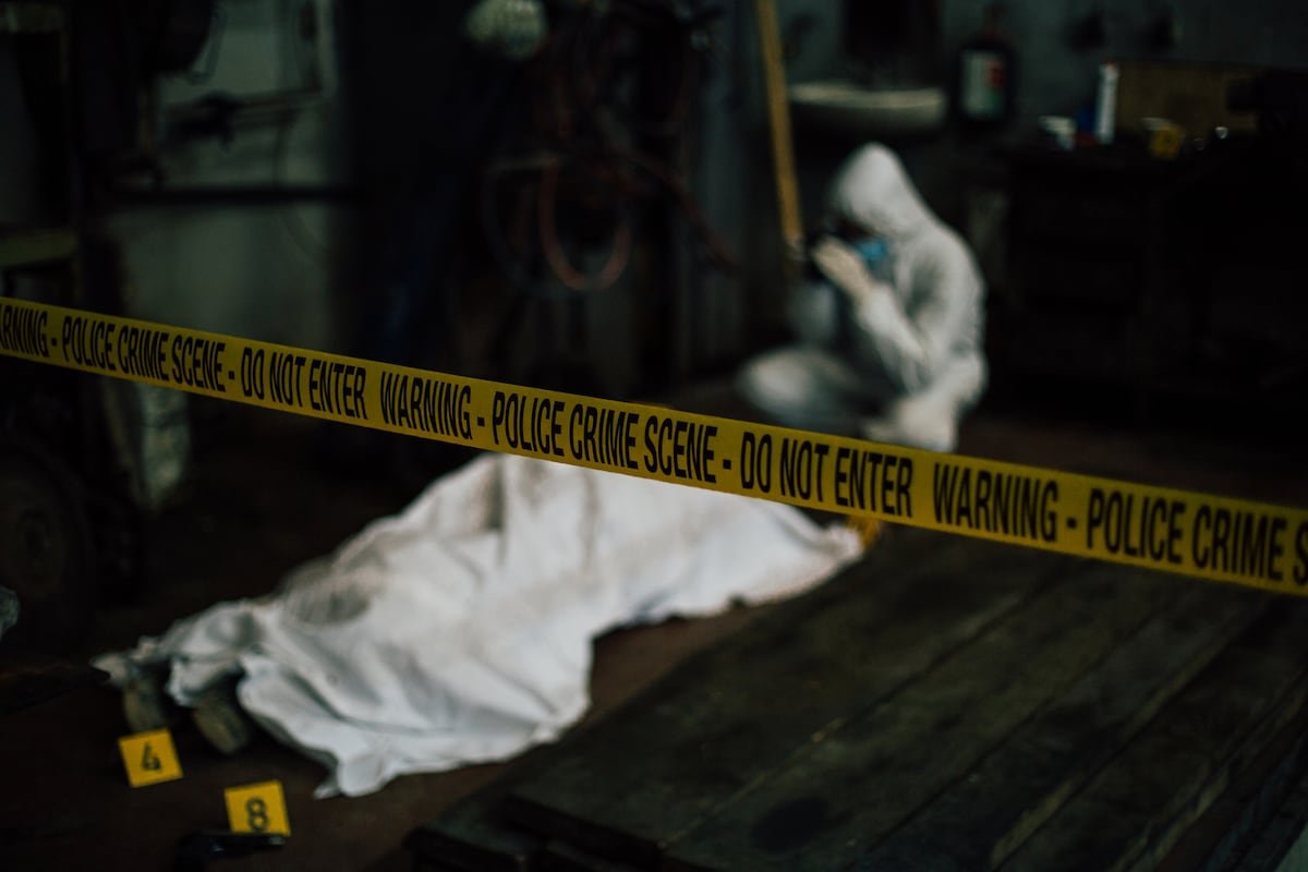 Siete novelas negras y unos cuantos asesinos para leer con el frío | Elemental | Cultura