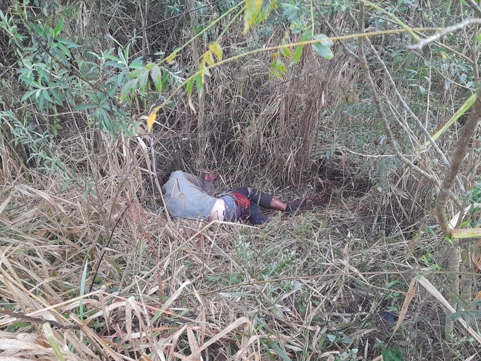 “Tu mamá va a tener que juntar tu cerebro con una cuchara”