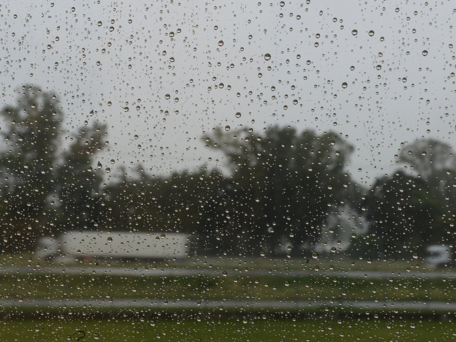 cómo estará el tiempo en Nochebuena